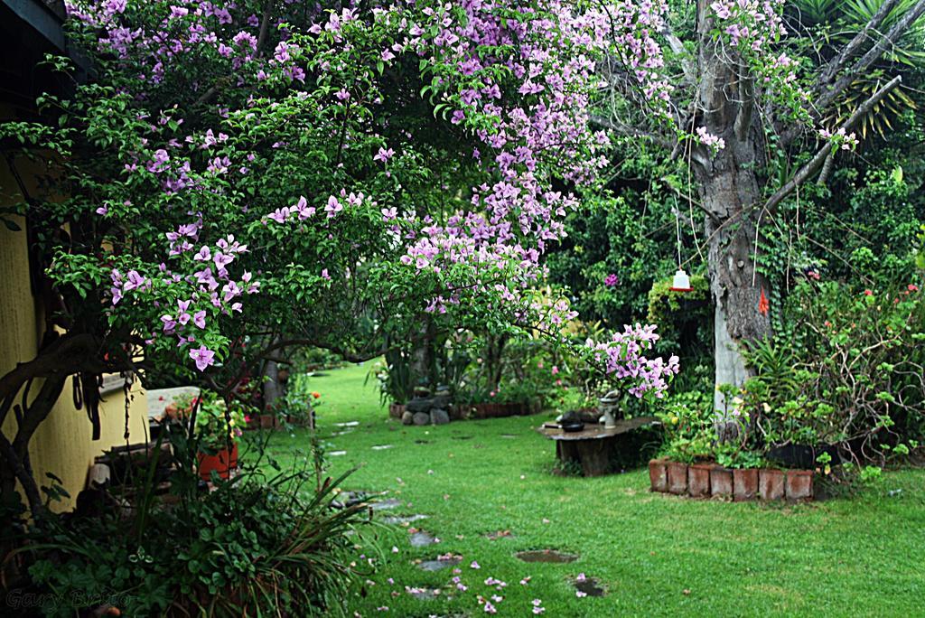 Hostal Saint Mary'S Tababela Kültér fotó
